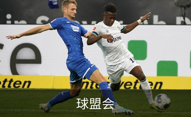 球盟会介绍